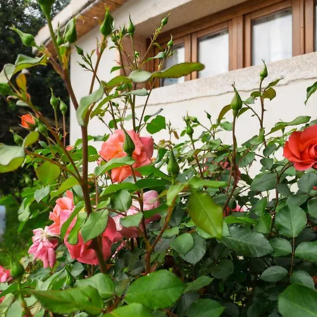 Tenuta Guparza Posada (Sardinia)