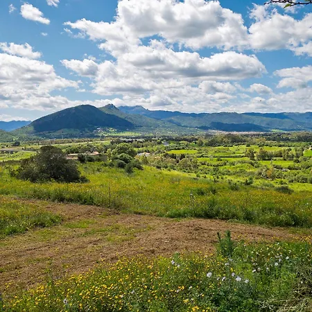 Tenuta Guparza Posada (Sardinia)