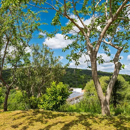 Tenuta Guparza