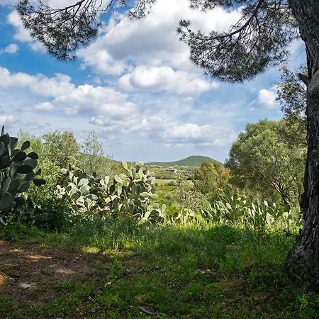 Tenuta Guparza
