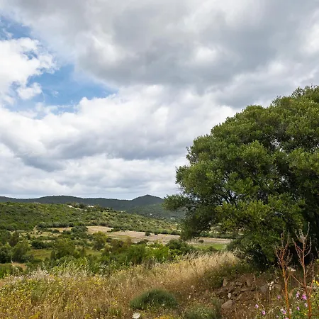 Guparza